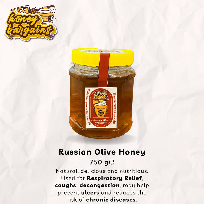 Russian Olive Honey